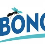 Bongo Junko - Junk Removal Downtown Houston