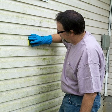 Fullwood Mold Experts