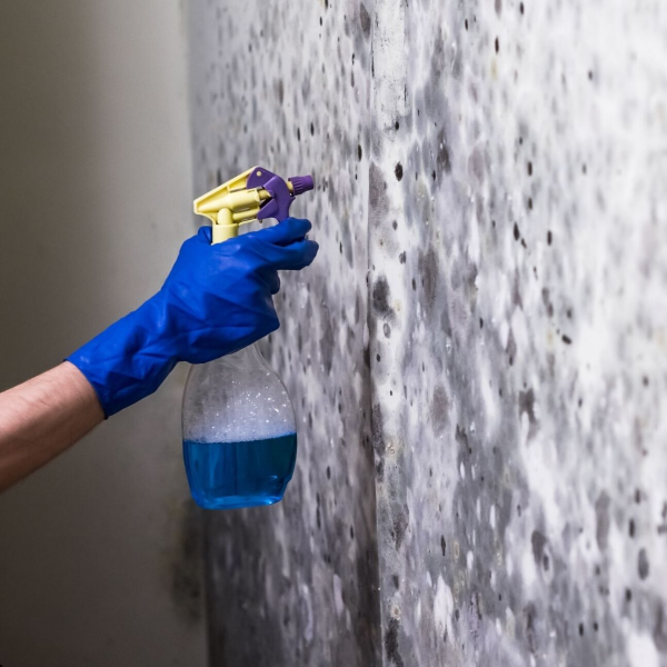 River City Mold Solutions
