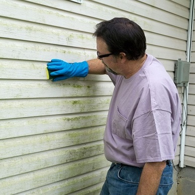 Twin Cities Mold Solutions