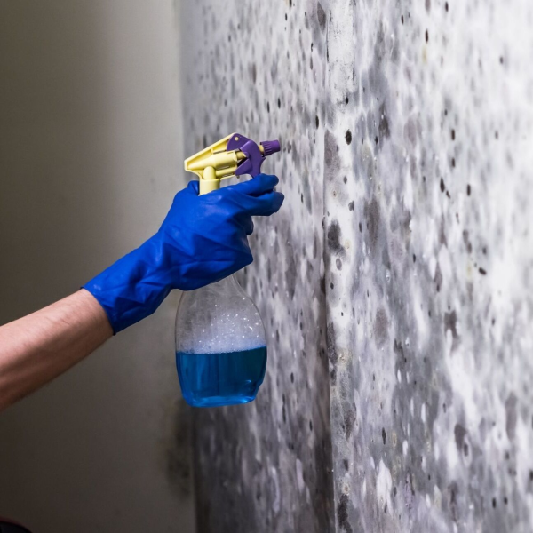 Sun Valley Mold Inspections