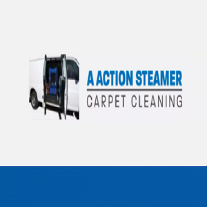 A Action Steamer carpet cleaning