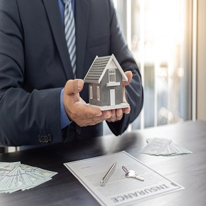 Pine Tree Home Insurance Solutions
