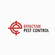 Effective Pest Control