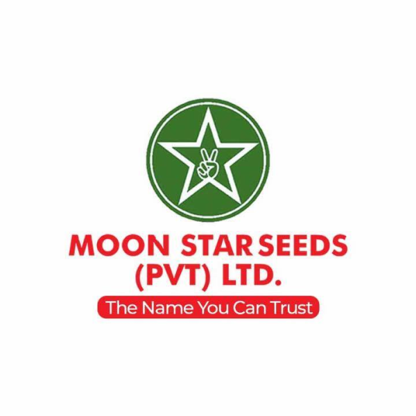 Moon Star Seeds