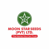 Moon Star Seeds - Startupxplore Moon Star Seeds