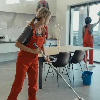 Hendersonville House Cleaning