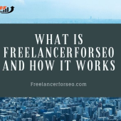 SEO FREELANCER - Startupxplore SEO FREELANCER