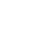 MTS Umzüge