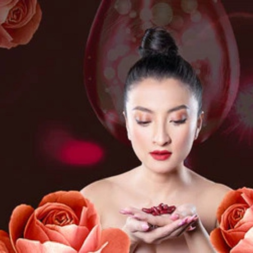 Venus Ginseng USA
