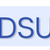 Umzüge DSU München