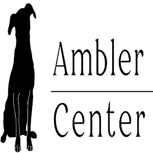 Ambler Counseling Center | Therapist, Teen Therapy, Groups, & Family Counseling