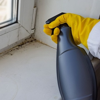 Jamaica Hill Mold Inspection Co