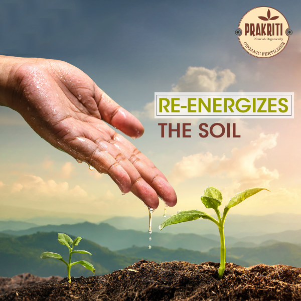 Best fertilizer for plants in india