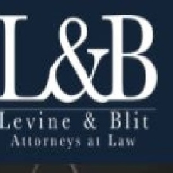 Levine & Blit