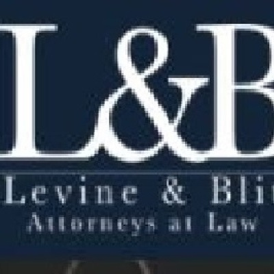 Levine & Blit
