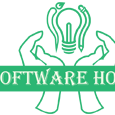 Software House Today