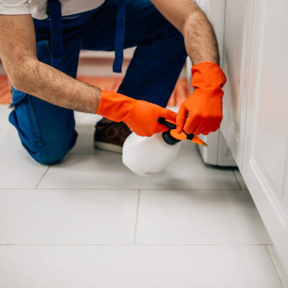 Heart of Dixie Termite Removal Experts