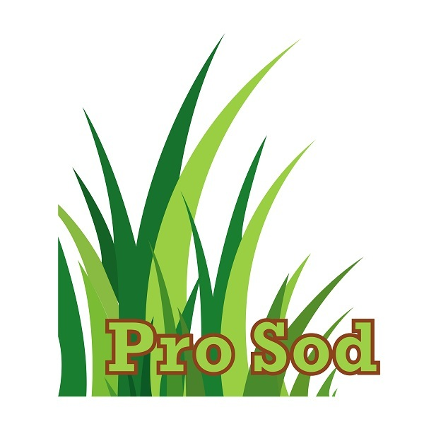 Pro Sod