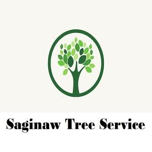 Saginaw Tree Service