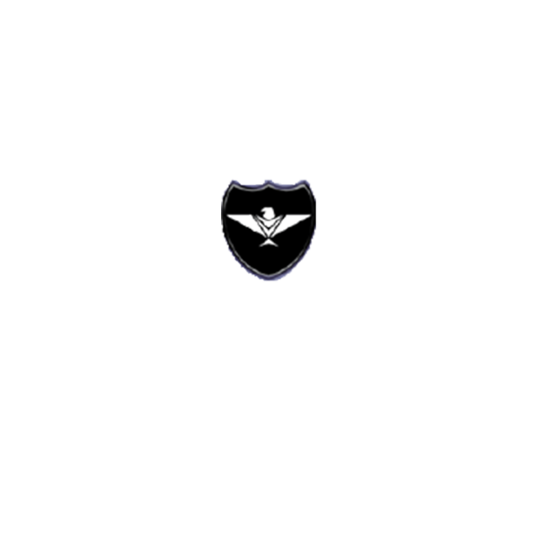 The Eagle Security