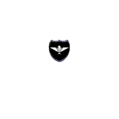 The Eagle Security