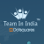 Team In India