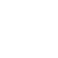 RankPointer - SEO Services in India