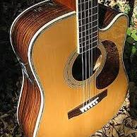Zager Guitars