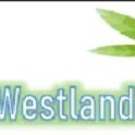 Westland Weed Dispensary