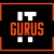 IT Gurus