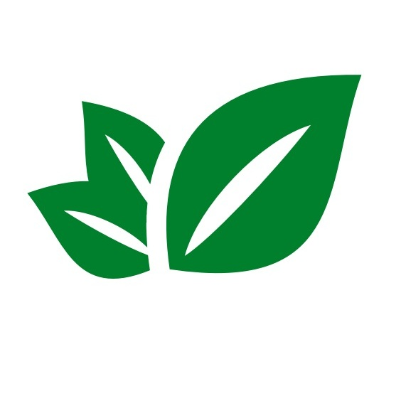 top marijuana