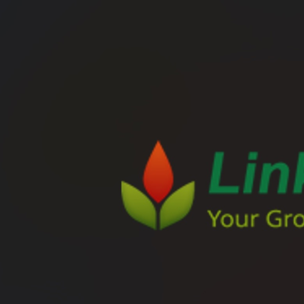 Phoenix SEO Company, LHI SEO Consultant Phoenix