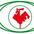 Anhui Hengchang New Material Co., Ltd
