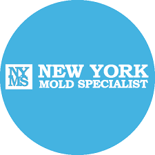 New York Mold Specialist