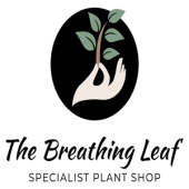 The Breathing Leaf