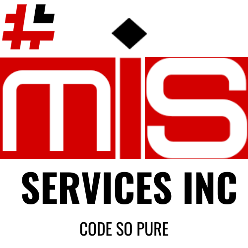 MIS SERVICES INC