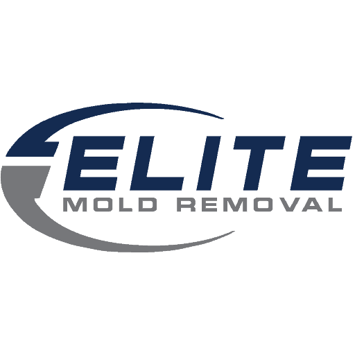 Elite Mold Removal