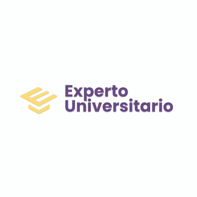 Experto Universitario