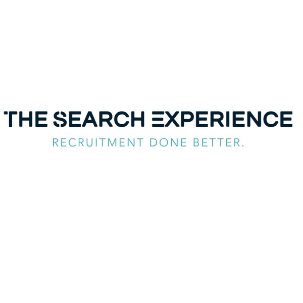 The Search Experience