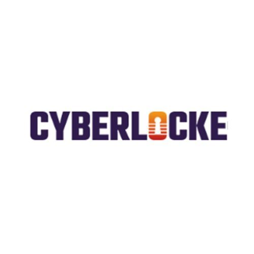 cyber locke