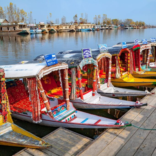 Shikara ride in Dal Lake