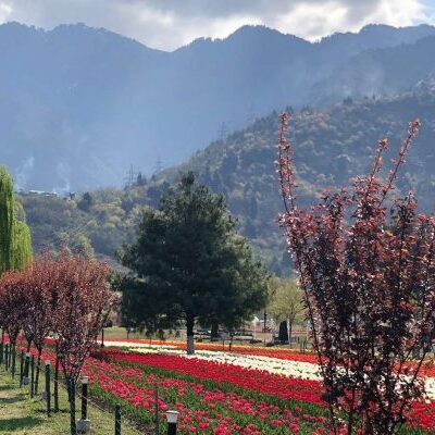 Kashmir Tour Packages