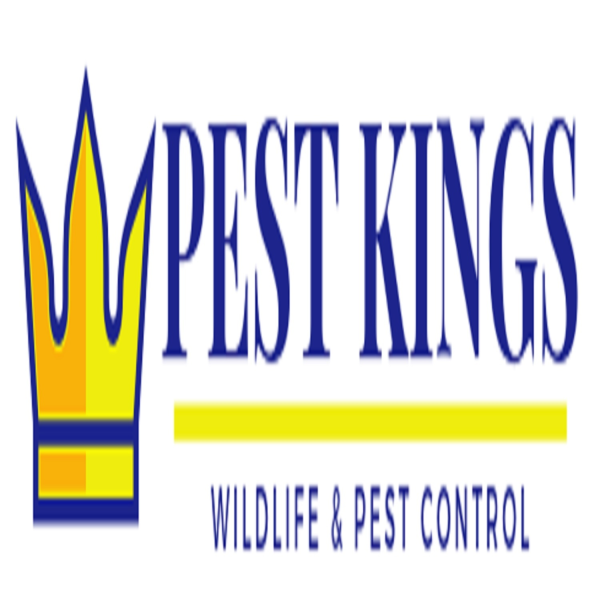 Pest Kings Wildlife & Pest Control Barrie