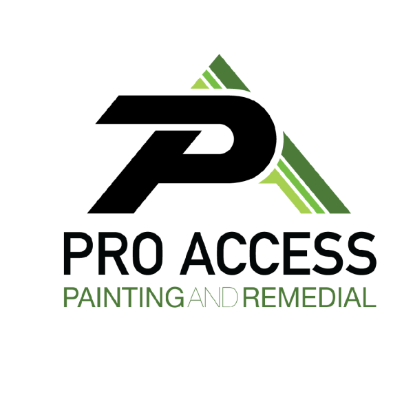 Pro Access Paint And Remedial