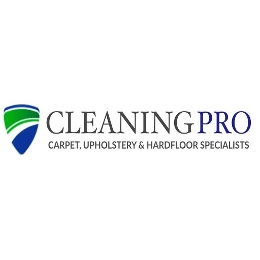 Shaun Ashmores Cleaning Pro