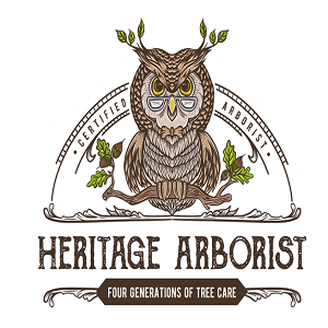 Heritage Arborist