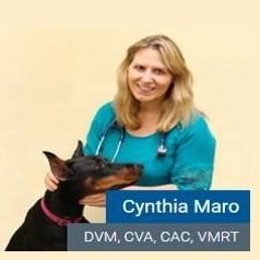 Cynthia Maro