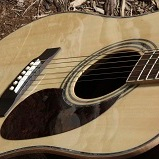 Zager Guitars