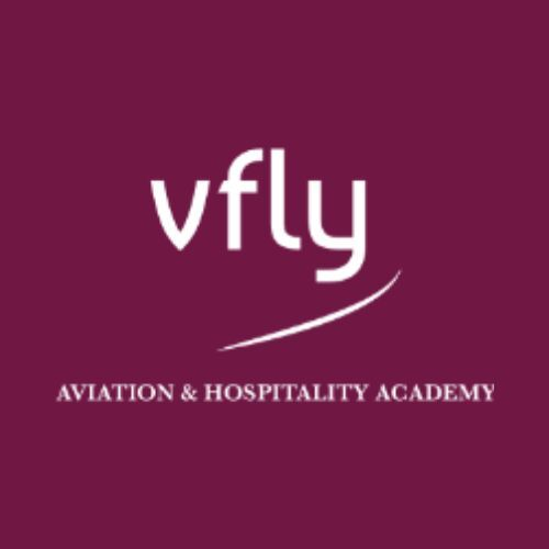 Vfly Aviation